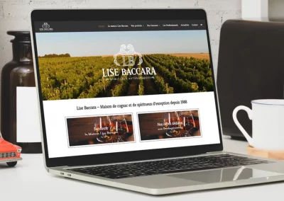 Lise Baccara - Création site internet E-MAGENCIA 2026 b